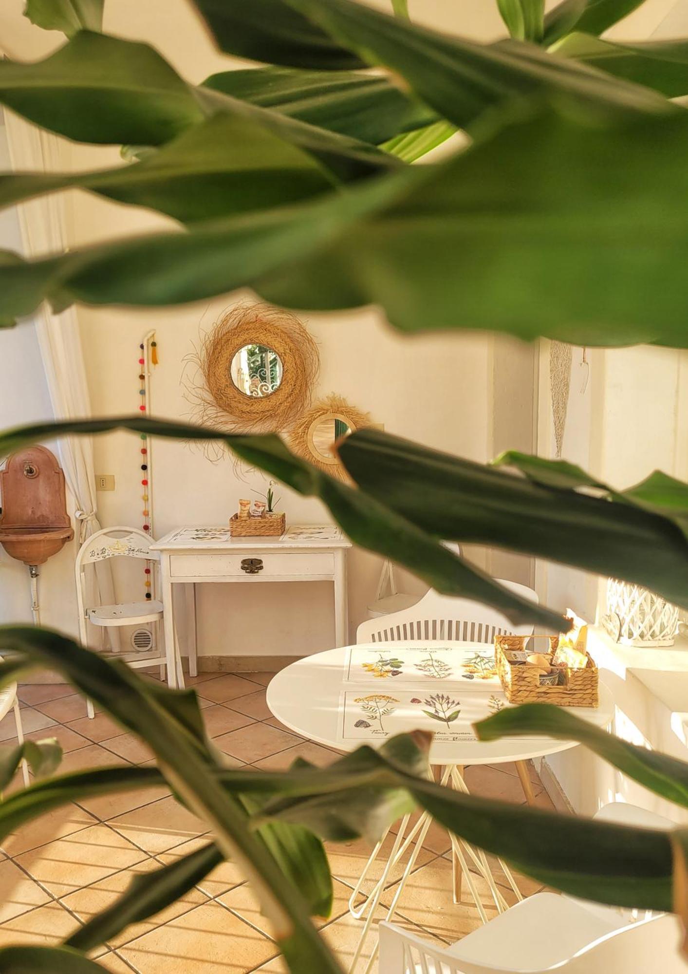 B&B Dal Nonno Рива-дель-Гарда Экстерьер фото