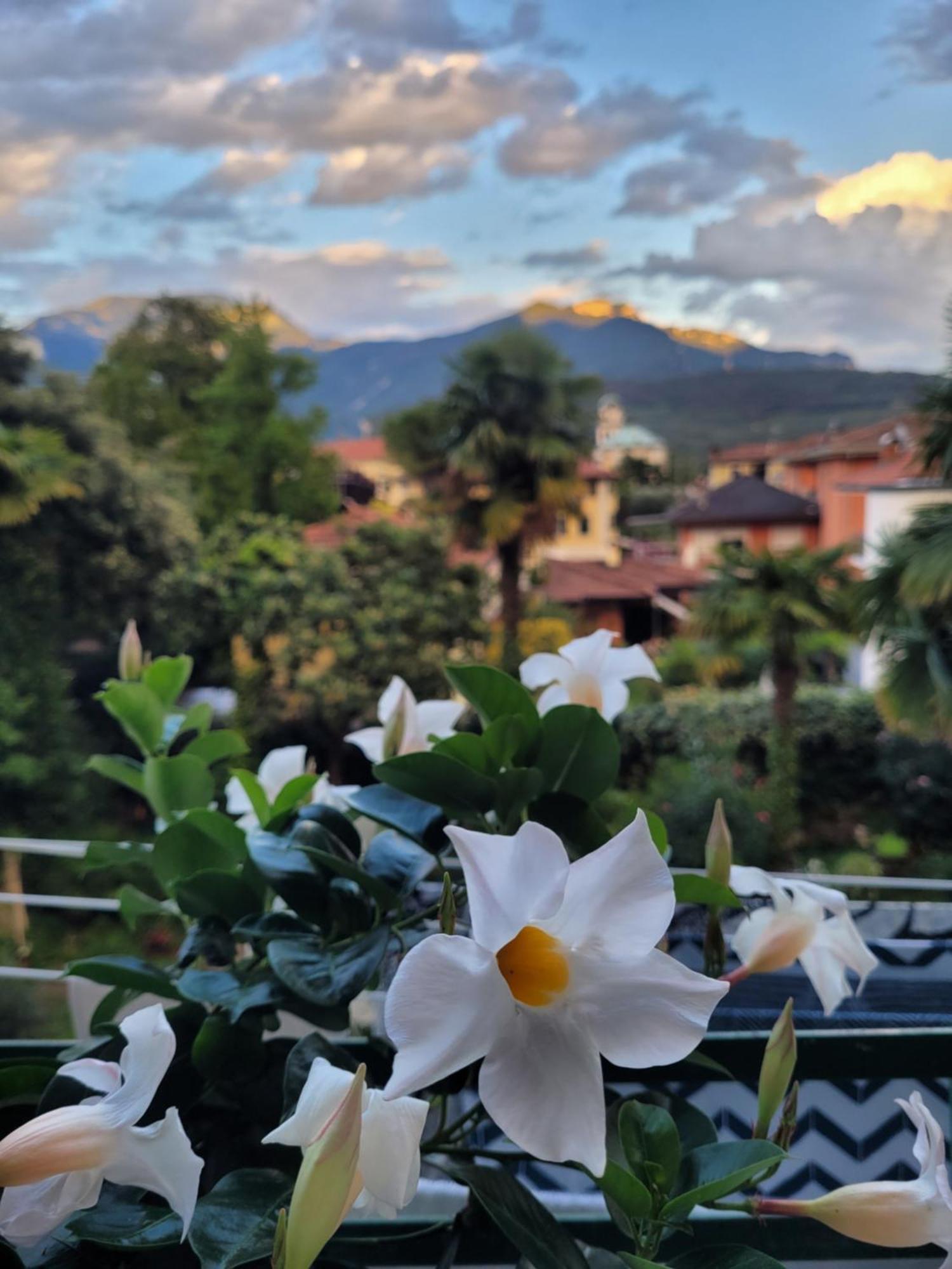 B&B Dal Nonno Рива-дель-Гарда Экстерьер фото